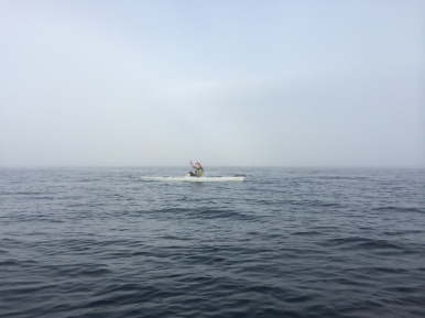Kayaking on the Puget Sound